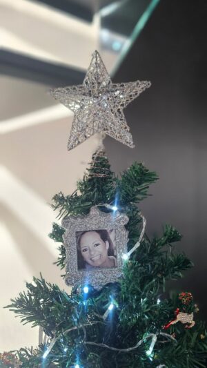 Andreia Dinis Instagram - Chegou ontem Dezembro e, tal como a tradição na minha família, fizemos a árvore e as decorações.
O meu mês, o mês do Natal, do final do ano, da família, dos convívios, da união.... Sê bem-vindo meu querido mês de Dezembro 🌟
