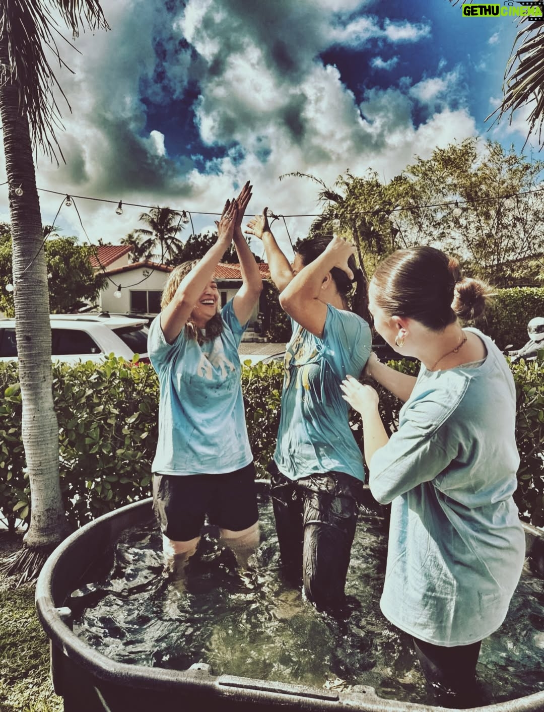 Angeline Moncayo - 2.3K Likes - Mi vida espiritual ha sido fundamental en mi camino. Aunque estudié en un colegio católico, esa experiencia no fortaleció mi relación con Dios. Pero al crecer y atravesar todo lo que he vivido —especialmente en los últimos años— elegí volver a Él. Desde entonces, cada día experimento más, entiendo más y recibo más mensajes. Volví por elección, por amor y por conciencia.

Hoy comprendo que parte de mi propósito es compartir, con quien quiera escuchar, lo que he vivido a través de mi fe. Por eso tomé la decisión de volver a bautizarme: porque ahora estoy en paz con Él, porque elegí seguirlo plenamente y ser consciente de cada acto que hago para honrarlo, porque era necesario dejar atrás a la persona que fui —a quien agradezco— para caminar con una mirada nueva, firme y sin apartarme de Él.

Y aunque es una elección y una experiencia profundamente personal, sé que parte de mi propósito es hablar de cómo la fe ha sido clave en mi camino. Por eso, y por si puede servirle a alguien, hoy lo comparto con ustedes. Elijo volver a ti!🙏 
Gracias a mi iglesia y a mis pastores por ser parte de mi historia. @marcellafattore @ezequielfattore

-Este post no es sobre religión, es sobre una relación con Dios. 
Un día espero compartir con ustedes sobre esta parte de mi vida. 💜🙏🌱