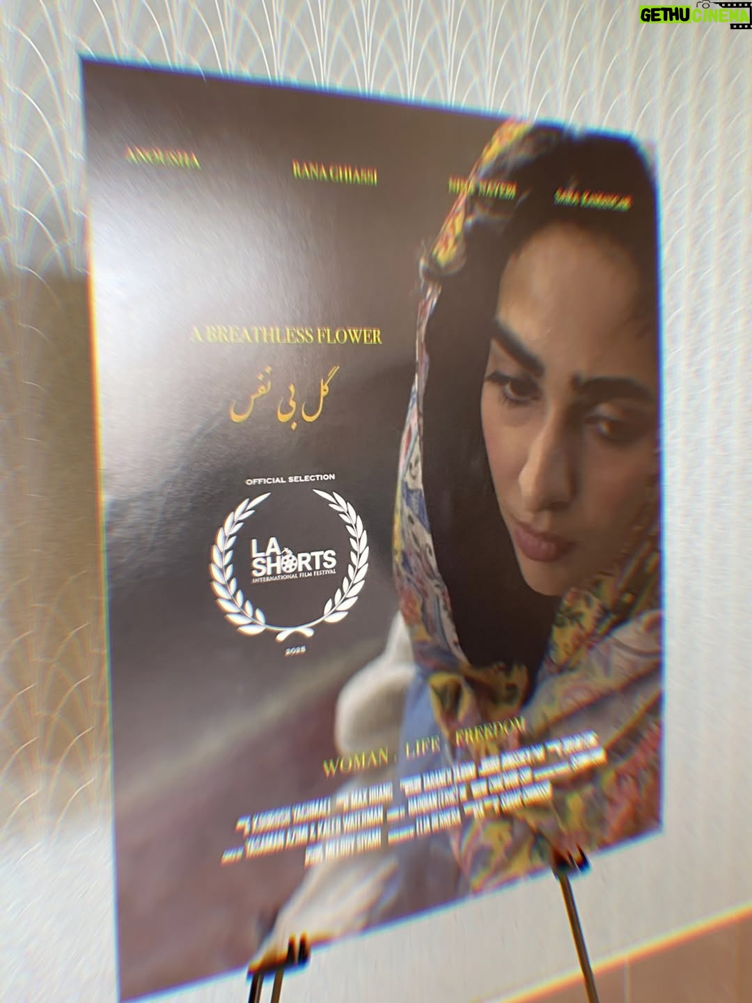 Anousha - 57.9K Likes - .🎥🎬🎞️
Our film premiered at LA Shorts after nearly two years of dreaming, filming, and bringing it to life. To anyone in the film industry: this process takes time. It’s rarely easy, but storytelling is sacred. Since the beginning of humanity, stories have helped us make sense of life. They give us hope, remind us we’re not alone, and inspire us to keep going.
Your story matters. There’s space for it. This world is abundant, we need more voices, more visions, more truth.
Thank you to the cast and crew for creating such a safe, beautiful space for us to be vulnerable. Playing Mina was an honor. She’s fierce, raw, and deeply rooted in justice, and I carry her with me still.
To our brilliant director, @sahar_ghorishi.x ,thank you for pouring your soul into this. The silence in the theater, the tears in the room, you created that. And to my family and my partner: thank you for believing in me, always.
______________________________________________
فیلم ما بعد از نزدیک به دو سال تلاش، فیلم‌برداری و ساخت، در جشنواره‌ی LA Shorts اکران شد.
برای همه‌ی عزیزانی که در صنعت فیلم فعالیت می‌کنن: این مسیر، زمان‌بره و آسون نیست، اما قصه‌گویی یک کار مقدسه. از آغاز تاریخ بشر، داستان‌ها بودن که به زندگی‌مون معنا دادن. امید بخشیدن، ما رو به هم نزدیک کردن، و باعث شدن ادامه بدیم.
داستان تو مهمه. برای صدا و روایت تو جا هست. این دنیا پر از فراوانیه، ما به صداهای تازه، نگاه‌های نو و حقیقت‌های بیشتر نیاز داریم.
ممنونم از تیم تهيه كننده و عوامل که محیطی امن و زیبا برای حضور مخصوصاً بازیگران ساختن. نقش «مینا» برای من افتخاری بزرگ بود، دختری قوی، واقعی و ریشه‌دار در عدالت که هنوز در وجود من زندگی می‌کنه.
و به کارگردان بی‌نظیرمون، سحر عزیز، ممنونم که تمام قلب و روحت رو پای این فیلم گذاشتی. سکوت سالن، اشک تماشاگرها… همه از لحظه‌هایی بود که تو خلق کردی.
و در آخر، ممنونم از خانواده‌ام , پارتنرم و دوستانم که همیشه به من ایمان داشتن 🫂❤️