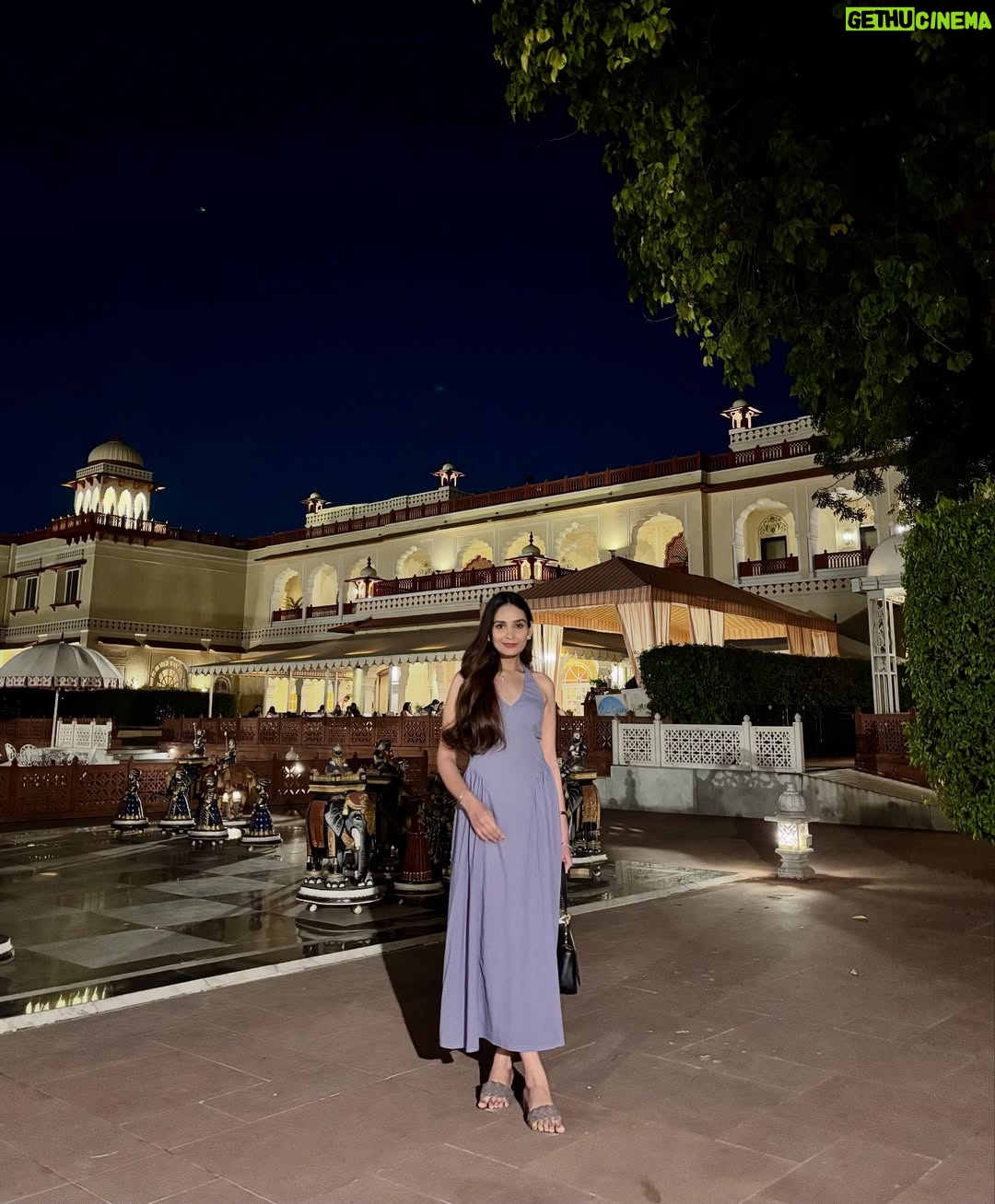Apoorva Sharma - 1.1K Likes - Palace lights, Lavender nights 💜✨