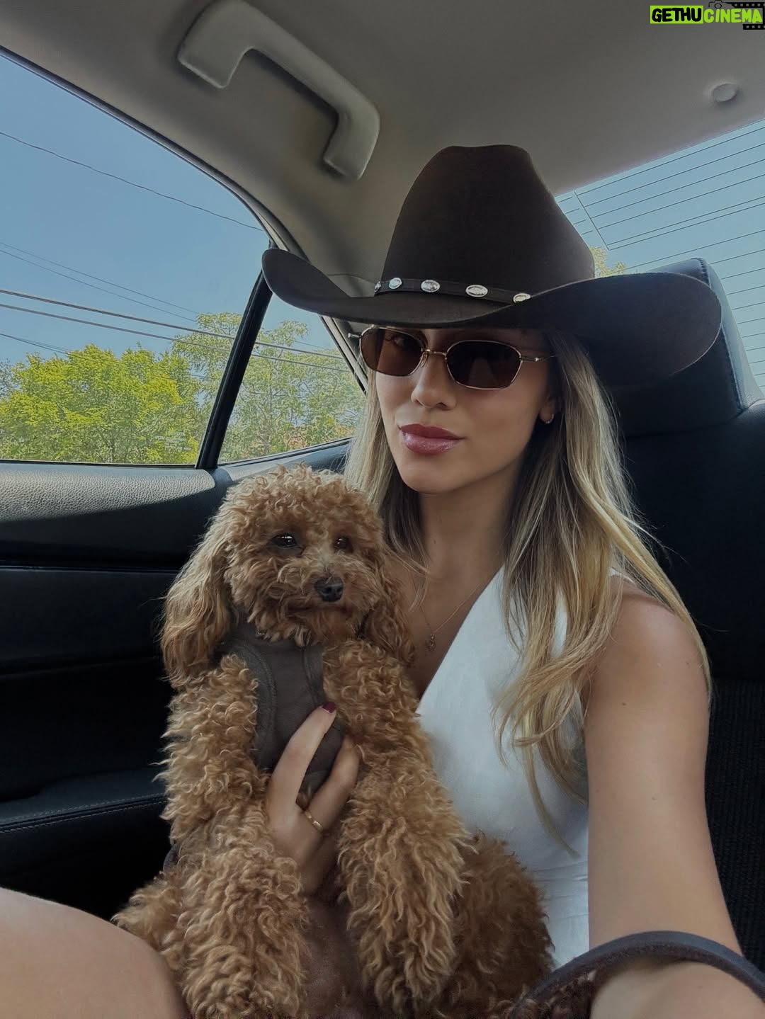 April Ivy - 10.7K Likes - howdy y’all 🤠