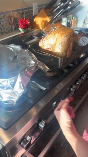 Ashley Williams Instagram - The great turkey fiasco of 2025. It was… eventually delicious! 

Thankful for you Jeremiah at @butterballturkey for keeping us out of the hospital, and thank you, turkey, for the memories. (Also great in sandwiches today!) 

Grateful for the group effort, Paisleys!!! @kimberlywilliamspaisley @bradpaisley #thanksgiving #oven