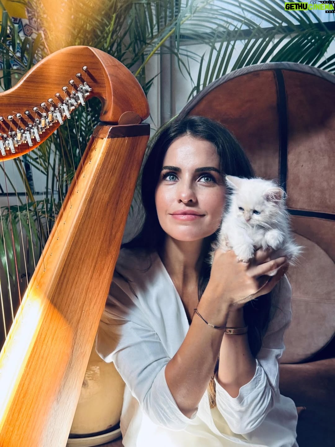 Aslı Tandoğan - 8.7K Likes - Bu da bizim Gojo’muz🤍🩵

#gojo