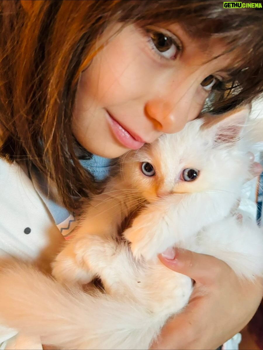 Aslı Tandoğan - 8.7K Likes - Bu da bizim Gojo’muz🤍🩵

#gojo