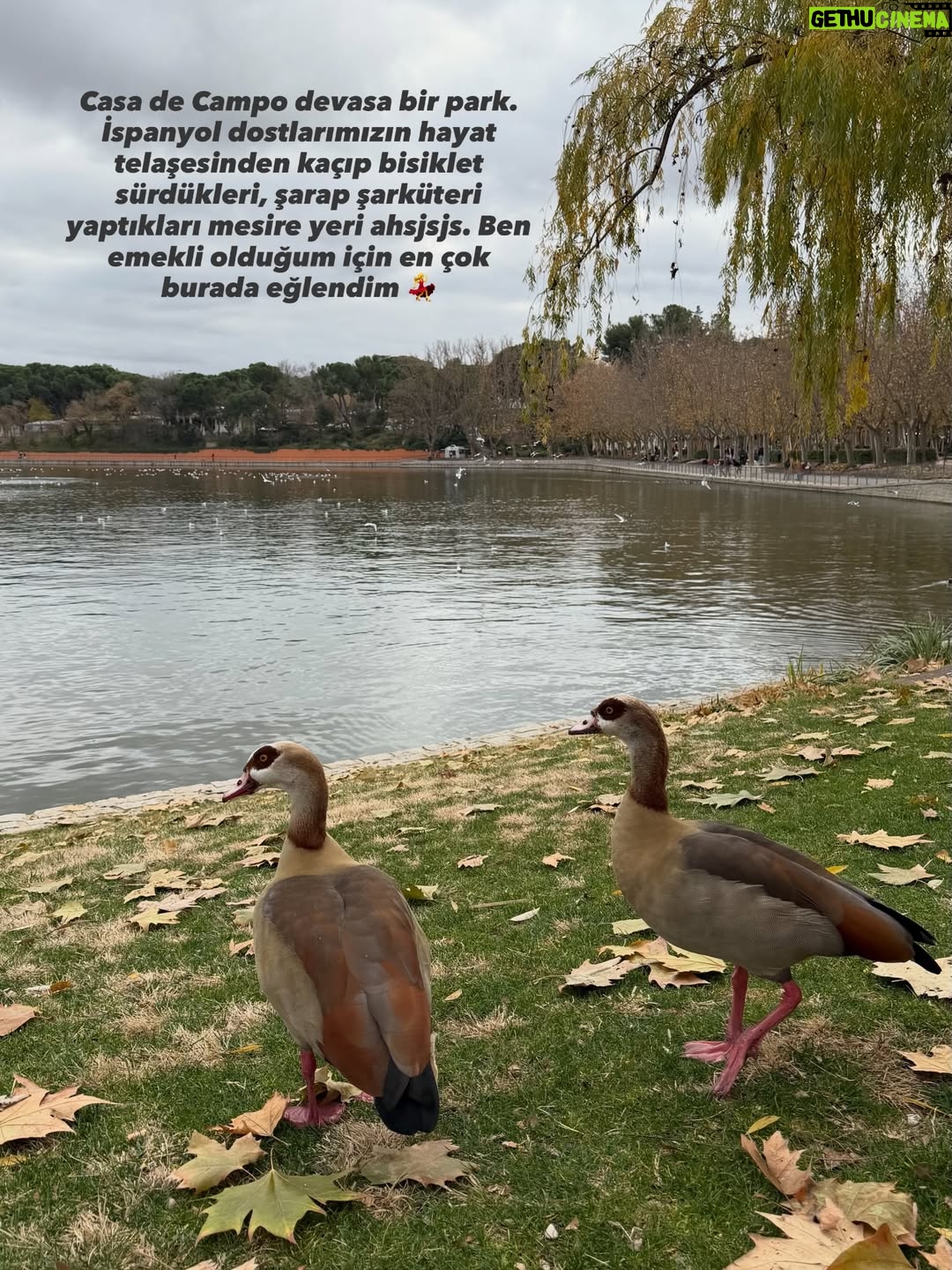 Aslı İnandık - 5.4K Likes - Fotoğrafların hepsini birer anıya dönüştürmeden önce size anlattım. 🥹🧿