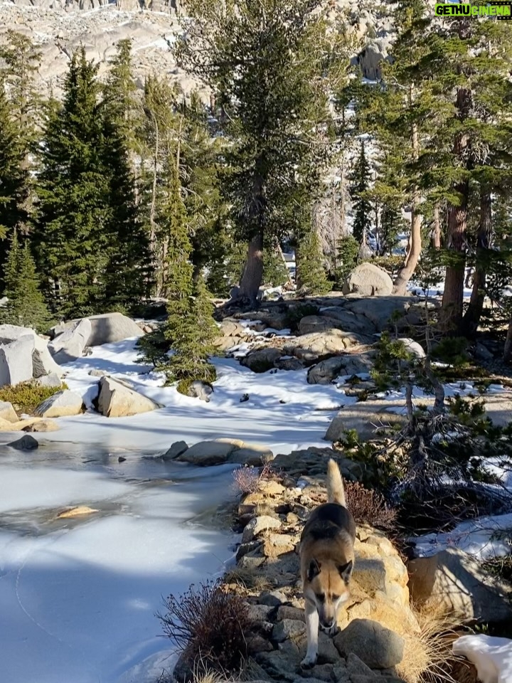 Aspen Ladd - 878 Likes - This adventure brought to you by caffeine and m&m’s 😂 legitimately though , if I’m running or hiking distance I’m popping candy . Also, before sparring and fights . Sugar and carbs are friend not foe. Also, it’s crazy that I can still be hiking at nearly 9k ft elevation, in DECEMBER in the sierras