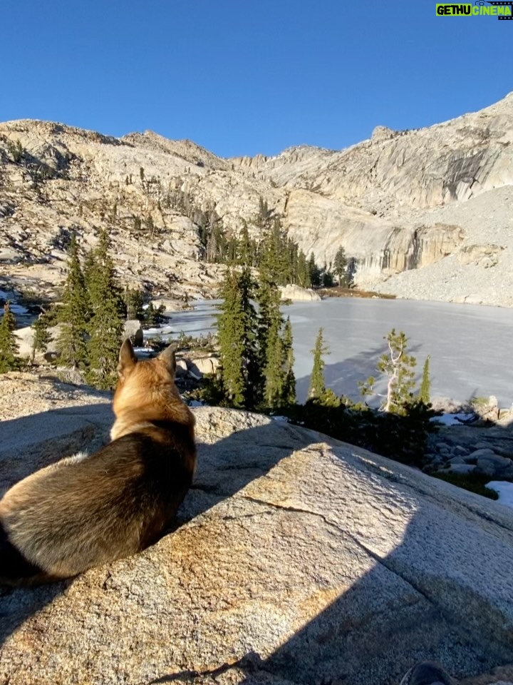 Aspen Ladd - 878 Likes - This adventure brought to you by caffeine and m&m’s 😂 legitimately though , if I’m running or hiking distance I’m popping candy . Also, before sparring and fights . Sugar and carbs are friend not foe. Also, it’s crazy that I can still be hiking at nearly 9k ft elevation, in DECEMBER in the sierras