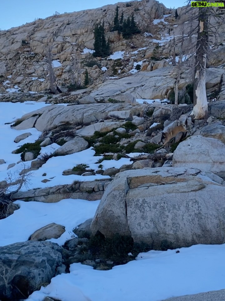 Aspen Ladd - 878 Likes - This adventure brought to you by caffeine and m&m’s 😂 legitimately though , if I’m running or hiking distance I’m popping candy . Also, before sparring and fights . Sugar and carbs are friend not foe. Also, it’s crazy that I can still be hiking at nearly 9k ft elevation, in DECEMBER in the sierras