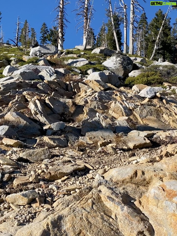 Aspen Ladd - 878 Likes - This adventure brought to you by caffeine and m&m’s 😂 legitimately though , if I’m running or hiking distance I’m popping candy . Also, before sparring and fights . Sugar and carbs are friend not foe. Also, it’s crazy that I can still be hiking at nearly 9k ft elevation, in DECEMBER in the sierras