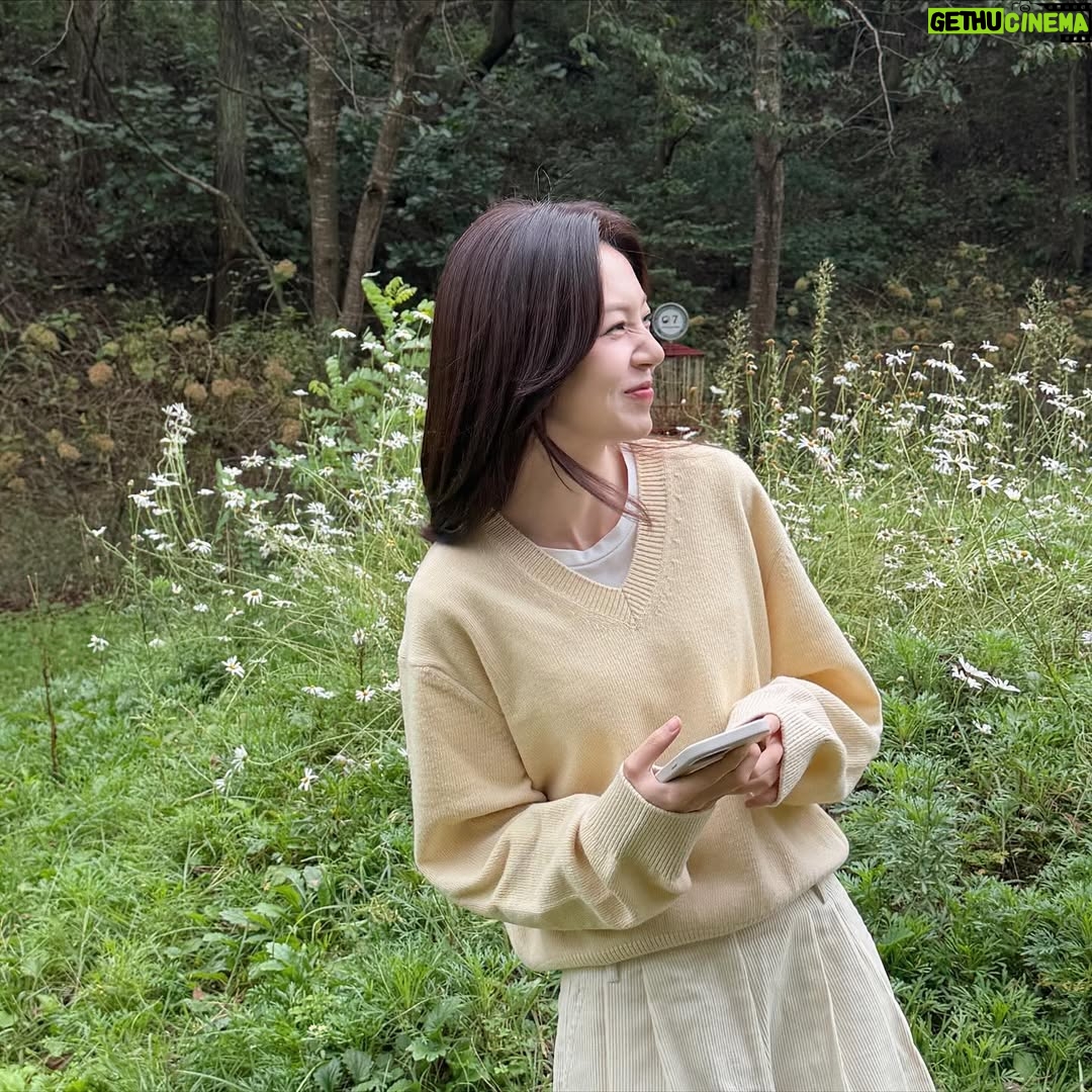 Baek Jin-hee - 13.9K Likes - ʕ ྀི꜆. ̫.꜀ ྀིʔ

잡초핑🌱가을인가🍂겨울인가⛄️