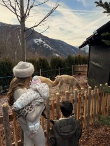 Bárbara Corby Instagram - Just a perfect winter day in this dreamy place ❄️ @sonnwies_familyresort #dolomites