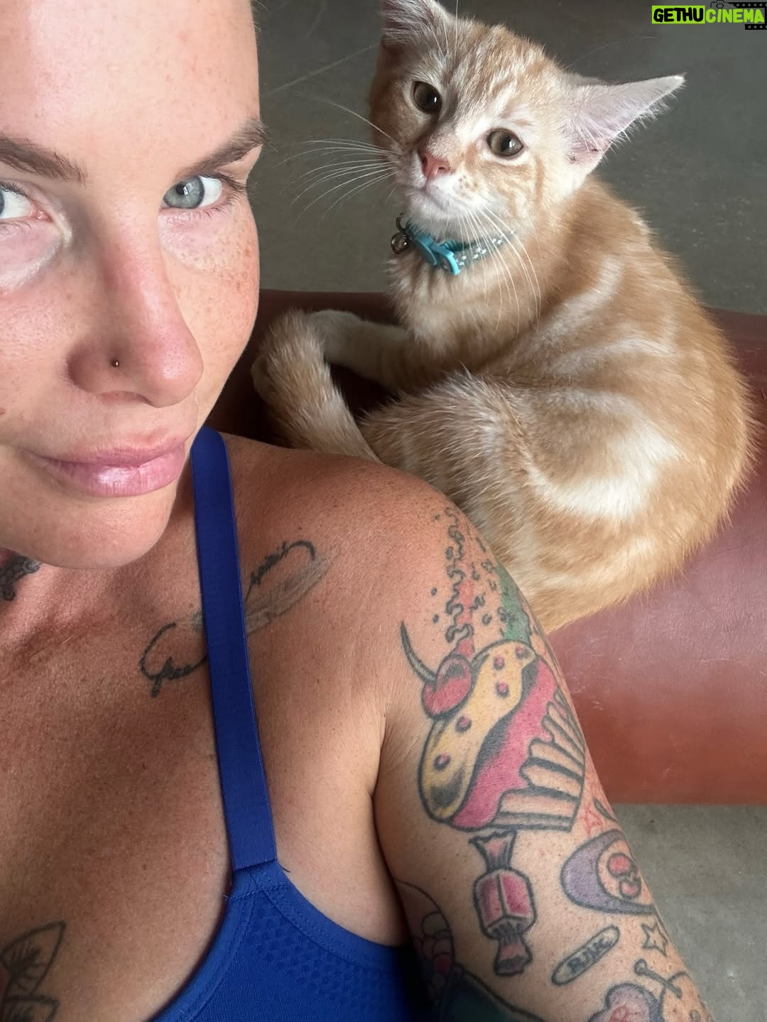 Bec Rawlings - 692 Likes - O’doyle RULES!