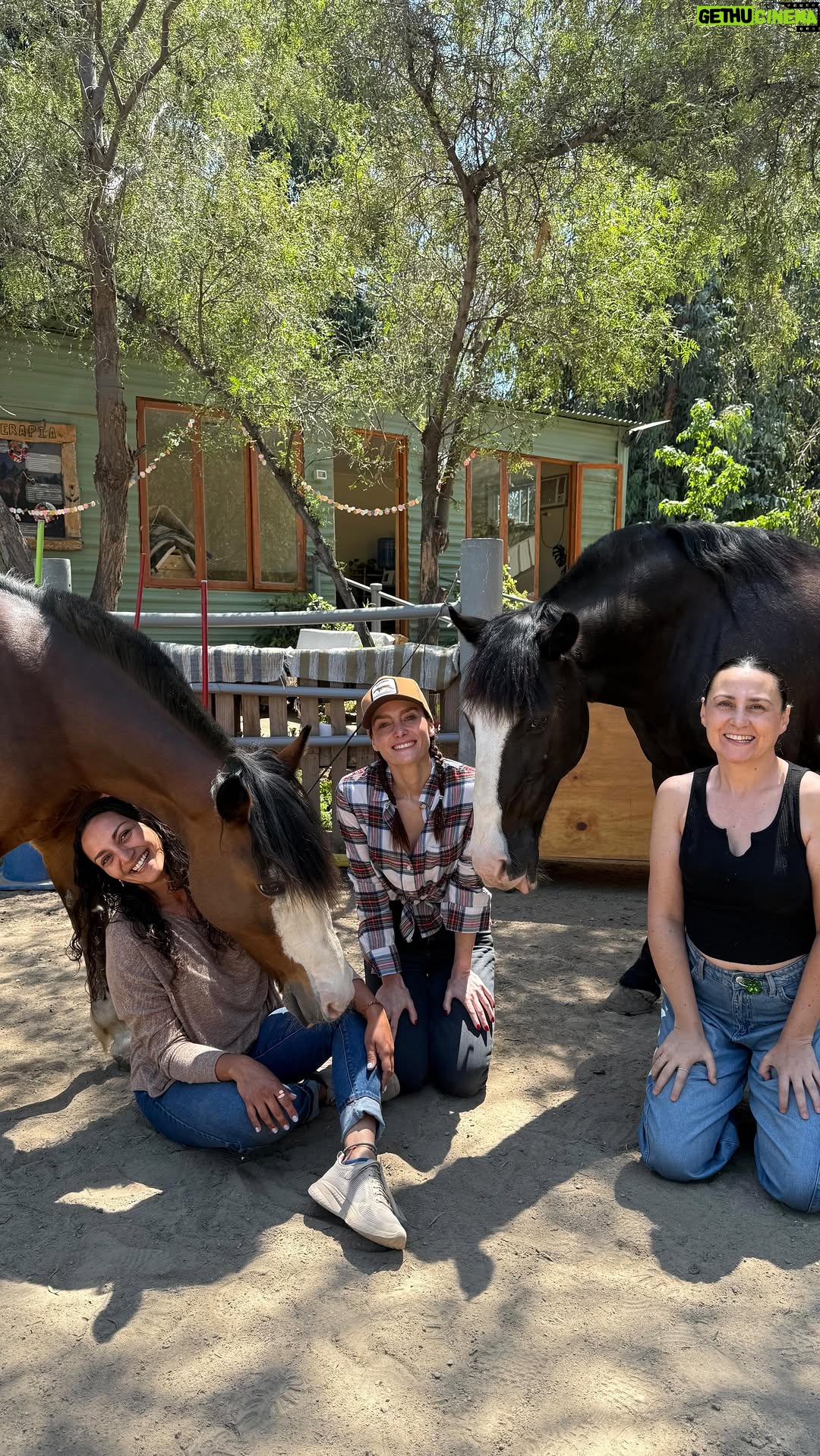 Begoña Basauri - 567 Likes - Ayer tuvimos la visita de Carolina Paulsen y Begoña Basauri quienes vivieron una hermosa sesión “Manada Espejo” en nuestro centro, sesión guiada por Valentina @genholistica ✨🐴
.
Ayer compartieron su experiencia en su programa radial “la terraza romántica” en @romanticafm104.1 y ¡qué bonito lo vivieron! Les agradecemos sus palabras a este trabajo que hacemos con tanto cariño. 
.
Hoy, les compartimos las primeras expresiones que recogimos de @lapaulsen y @basauri al salir de su experiencia con la manada 💫🐴
.
Si deseas agendar tu sesión, escríbenos en los comentarios o envíanos un DM a @equinoterapia_coyan 🐴⁩ o @genholistica y con gusto te enviaremos toda la información que necesites🙌🏼😊