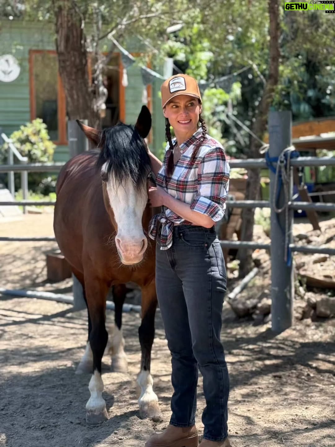 Begoña Basauri - 1.3K Likes - Ese día viví una experiencia que me cambió la vida. Hice una constelación familiar con caballos 💫🐎Muchas veces me habían invitado a hacer constelaciones familiares pero nunca me había atrevido, me daba pudor, vergüenza, miedo. Hasta que llegó esta invitación y fue MAGIA. 
Muchas gracias Luna, Castañuela y Custodio por guiarme con tanto amor🐎💖
Gracias Vale @genholistica por dirigir con tanto cariño la terapia y @equinoterapia_coyan por abrir este espacio tan cuidado.