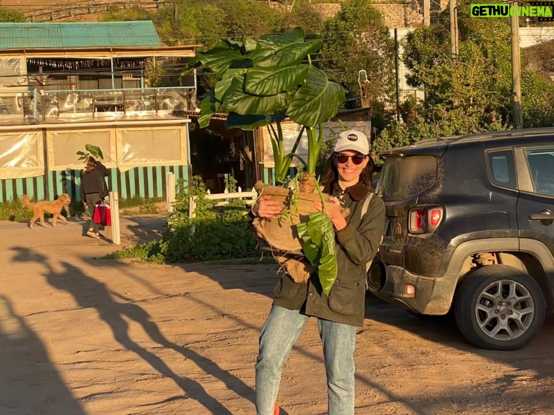 Begoña Basauri - 1.5K Likes - Recargando el corazón 💝