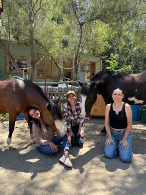 Begoña Basauri Instagram - Ese día viví una experiencia que me cambió la vida. Hice una constelación familiar con caballos 💫🐎Muchas veces me habían invitado a hacer constelaciones familiares pero nunca me había atrevido, me daba pudor, vergüenza, miedo. Hasta que llegó esta invitación y fue MAGIA.
Muchas gracias Luna, Castañuela y Custodio por guiarme con tanto amor🐎💖
Gracias Vale @genholistica por dirigir con tanto cariño la terapia y @equinoterapia_coyan por abrir este espacio tan cuidado.