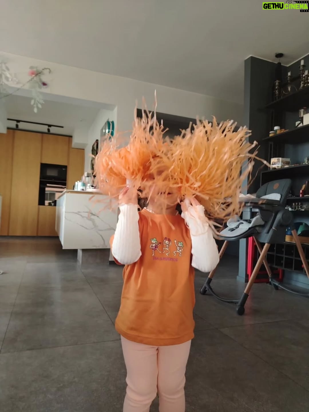 Begoña Basauri - 1.7K Likes - Se oficializa la escolaridad en esta casa. 
Alianza Naranja 🍊 
Pronto...gira de estudios 😂