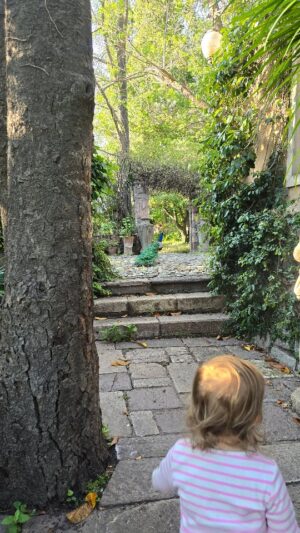 Begoña Basauri Instagram - Lunes de limpieza e instrucciones...oye qué habla la iñora