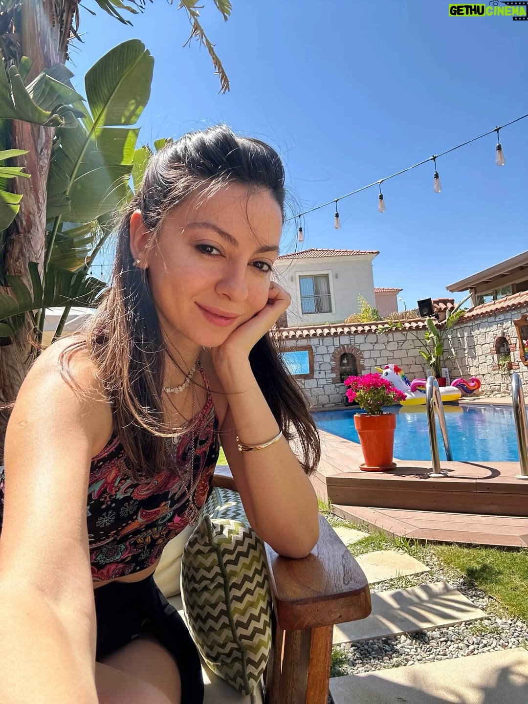Belemir Temizsoy - 1.3K Likes - 🌞 🫧 🐚 🪸