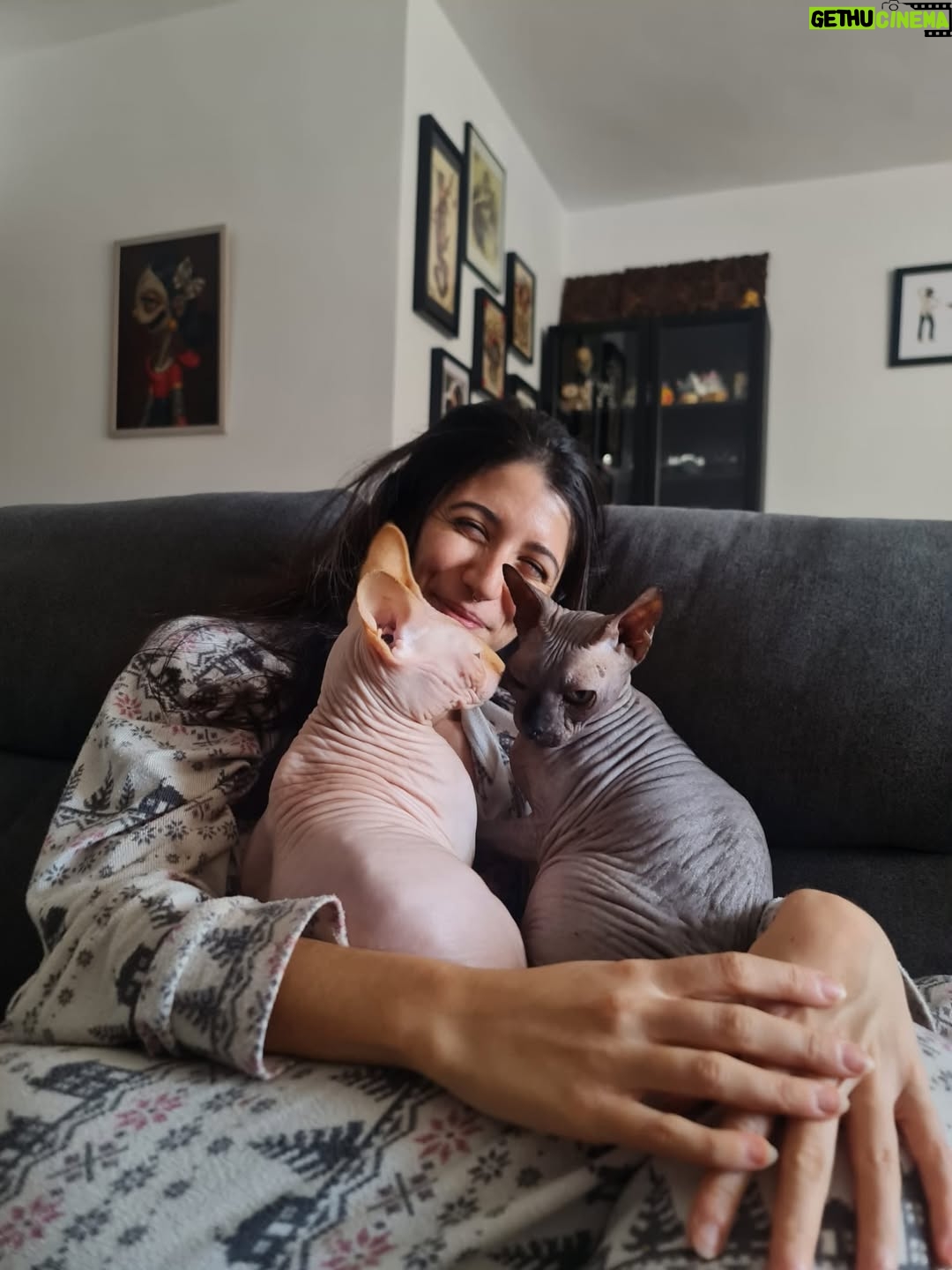 Bely Basarte - 13.3K Likes - Mi abrazo en tantos días tristes, mi luz en tantas épocas oscuras, mi gatito Otis. Mi conexión más pura, mi amor más genuino, tú que tantos llantos consolaste, ¿cómo lo voy a hacer sin ti?

Tengo un hueco en el alma y no quiero llenarlo porque es tuyo. Te lo llevas contigo, de abrigo, de refugio, para que te tumbes sobre él a tomar el solecito.

Mi Otis de ronroneo eterno, mi mejor compañero, no recuerdo la vida sin ti.

Soñaré cada noche que dormimos acurrucados, tu carita sobre la mía, Molly entre mis piernas y Alex a nuestro lado dándonos calor hasta que vuelva a salir el sol. Porque ahora estás en los rayitos de sol, colándote por la ventana en pleno diciembre para calentar a Molly.

Nos hemos tenido tanto amor, gatito.
Nos hemos consentido todo el amor del mundo.

Te voy a echar de menos toda la vida.