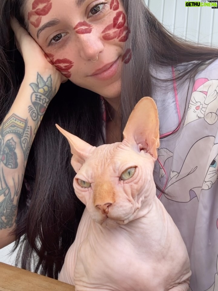 Bely Basarte - 13.3K Likes - Mi abrazo en tantos días tristes, mi luz en tantas épocas oscuras, mi gatito Otis. Mi conexión más pura, mi amor más genuino, tú que tantos llantos consolaste, ¿cómo lo voy a hacer sin ti?

Tengo un hueco en el alma y no quiero llenarlo porque es tuyo. Te lo llevas contigo, de abrigo, de refugio, para que te tumbes sobre él a tomar el solecito.

Mi Otis de ronroneo eterno, mi mejor compañero, no recuerdo la vida sin ti.

Soñaré cada noche que dormimos acurrucados, tu carita sobre la mía, Molly entre mis piernas y Alex a nuestro lado dándonos calor hasta que vuelva a salir el sol. Porque ahora estás en los rayitos de sol, colándote por la ventana en pleno diciembre para calentar a Molly.

Nos hemos tenido tanto amor, gatito.
Nos hemos consentido todo el amor del mundo.

Te voy a echar de menos toda la vida.