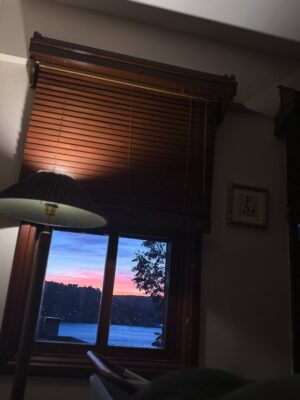 Beste Kökdemir Instagram - Çiçeklerden hayat yapmışlar 🌺