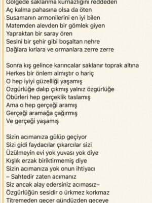Beste Kökdemir Instagram - Ardında unutulmaz bir yaz bırakanlar ☀️🦗
