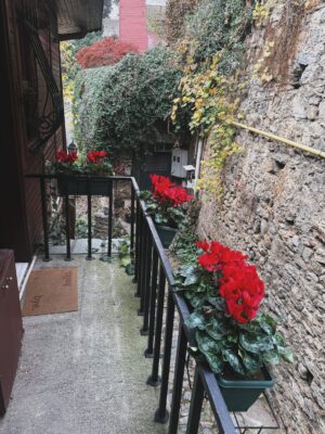 Beste Kökdemir Instagram - Çiçeklerden hayat yapmışlar 🌺