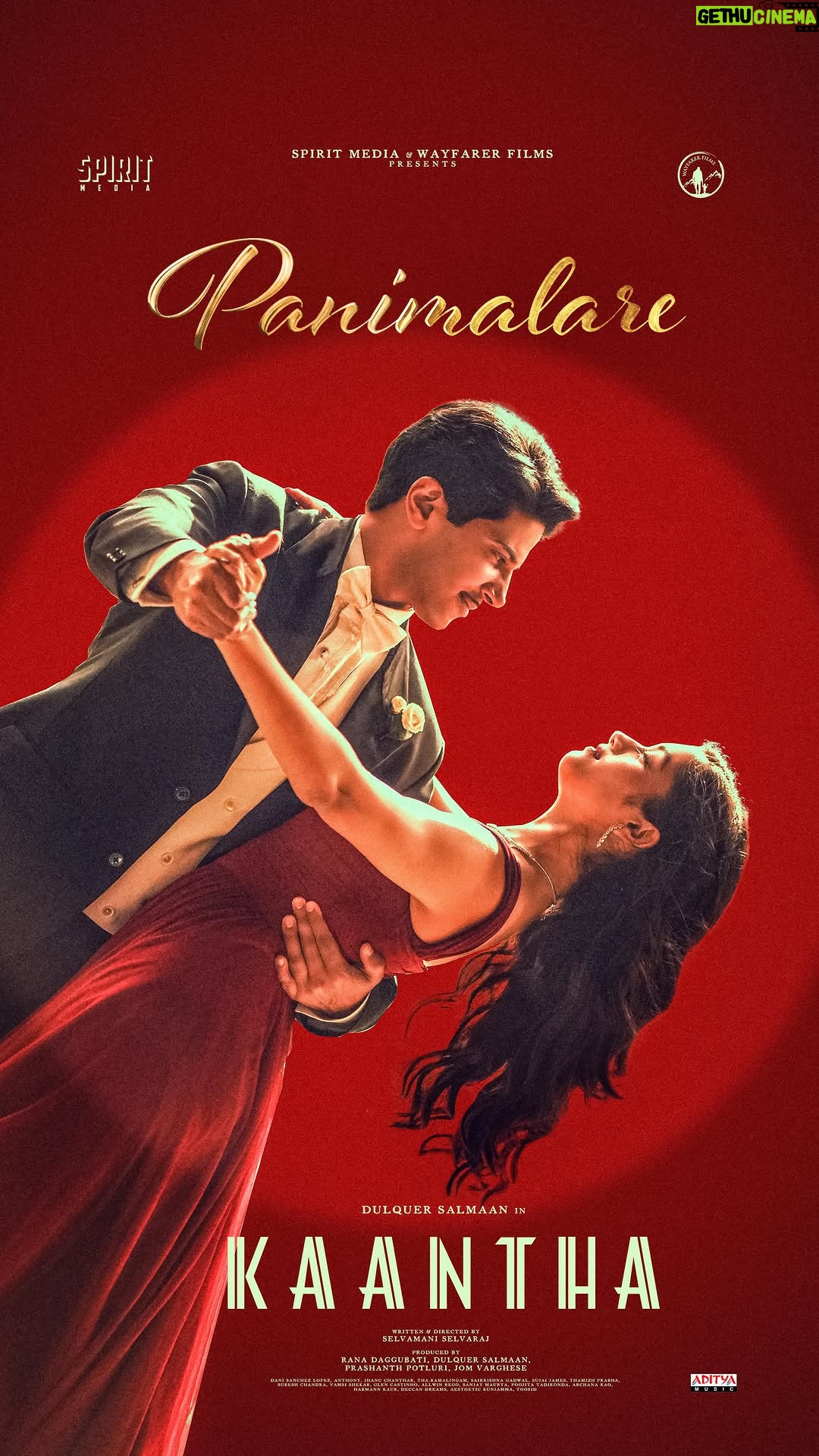Bhagyashri Borse - 476.9K Likes - Romance never goes out of style & #PANIMALARE is a nod to that.❤️

Our first single of @kaanthafilm is OUT NOW!✨
If it tugs at your heart (and your feet), let the world see your version.💃🏻🕺🏻
🔗Link In Bio.

Know their story on September 12th in theatres worldwide. 

A @thespiritmedia and @dqswayfarerfilms production 🎬

#Kaantha #DulquerSalmaan #RanaDaggubati #SpiritMedia #DQsWayfarerfilms #Bhagyashriborse #SelvamaniSelvaraj #Kaanthafilm 
#Panimalare 
 
@selvamani.selvaraj87 @dqsalmaan @ranadaggubati @bhagyashriiborse @i_am_samuthirakani @prashanthpotluri @jom.v @saikrishnagadwal @sujai_james @palaparthi_sravan @jhanu_chanthar @dancinemaniac @ramalingam @tapraba @poojitatadikonda @archanaaakhilrao @editoranthonyofficial @adityamusicindia @kk_writer1 @pradeep_kumar1123 @priyankank #GlenCastinho #AllwinRego #SanjayMaurya @deccandreams_official @sureshchandraaoffl @ursvamsishekar @aesthetic_kunjamma @kaanthafilm @Rci_Post