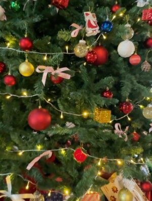Bhaweeka Chaudhary Instagram - 💕Just saw my pictures and remembered I do have one with the Christmas tree, so I thought let’s upload it 🎄✨
#christmas2025