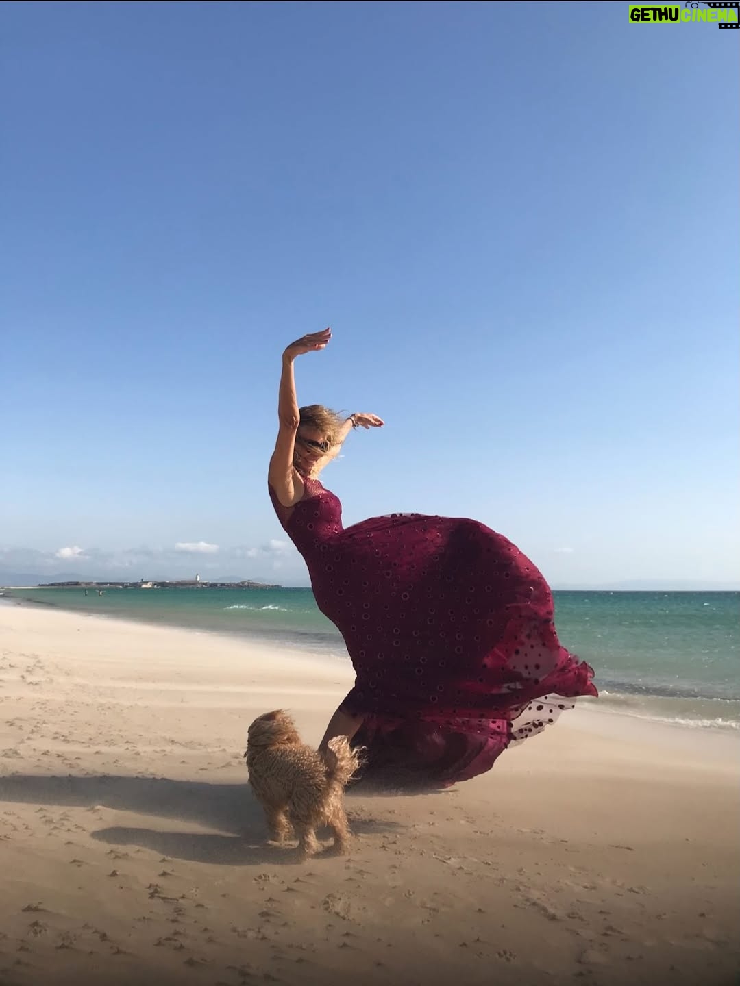 Bibiana Fernández - 6.5K Likes - Es el 11, pero es tan difícil resumir 11 años de amor, felicidades mi vida ,más que a las mañanas que a a los ríos que a los hijos que no tuve….. te adoro 🎂👑💋