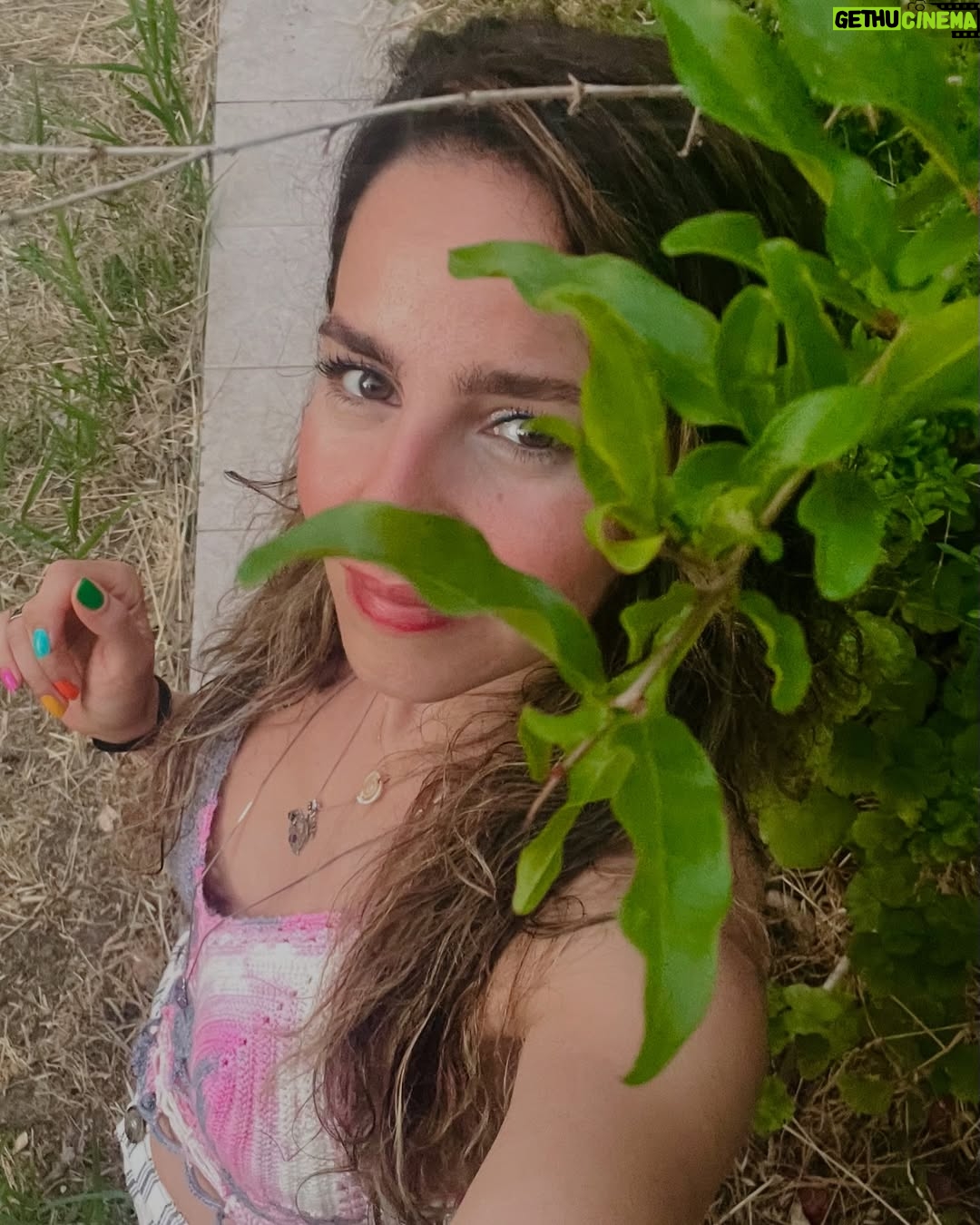 Bihter Dinçel - 5.6K Likes - 🌹🌸🪻… yazpoz