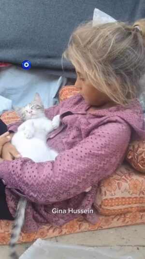 Binnur Kaya Instagram - Savaşın ortasında bir çocuk dünyayı güzelleştiriyor...
Dünyasını yıkanlara inat; vatanına,topraklarına,ailesine,sevdiklerine zalimce kıyanlara inat,dünyayı güzelleştirmeye devam ediyor...
Zalimliği güç,parayı iman bilen büyüklerine inat,dünyayı sevgiye boğuyor...
Gazze’de bir çocuk,merhametiyle insan olmayı öğretiyor...
Çekseniz elinizi şu çocukların,insanların,vatanların üzerinden,dünya misafirliğinde sevgiyle nasıl yaşanırmış anlayacaksınız...
Vahşetten aldığınız haz,her şeye,bütün dünyaya sahip olma
aç gözlülüğünüz,merhametten yoksun,doymayan ruhlarınızla katlettiniz hayatları...
Ve siz bunları yaparken,gücünüz yetmedi, bir çocuğun koynuna,başka bir canı da alarak dünyayı güzelleştirmesine; savaşın ortasında,merhametiyle sarıp sarmalamasına engel olamadınız...
Siz mi güçlüsünüz şimdi,bu çocuk mu?
Zulmünüz acizliğinizdendir...