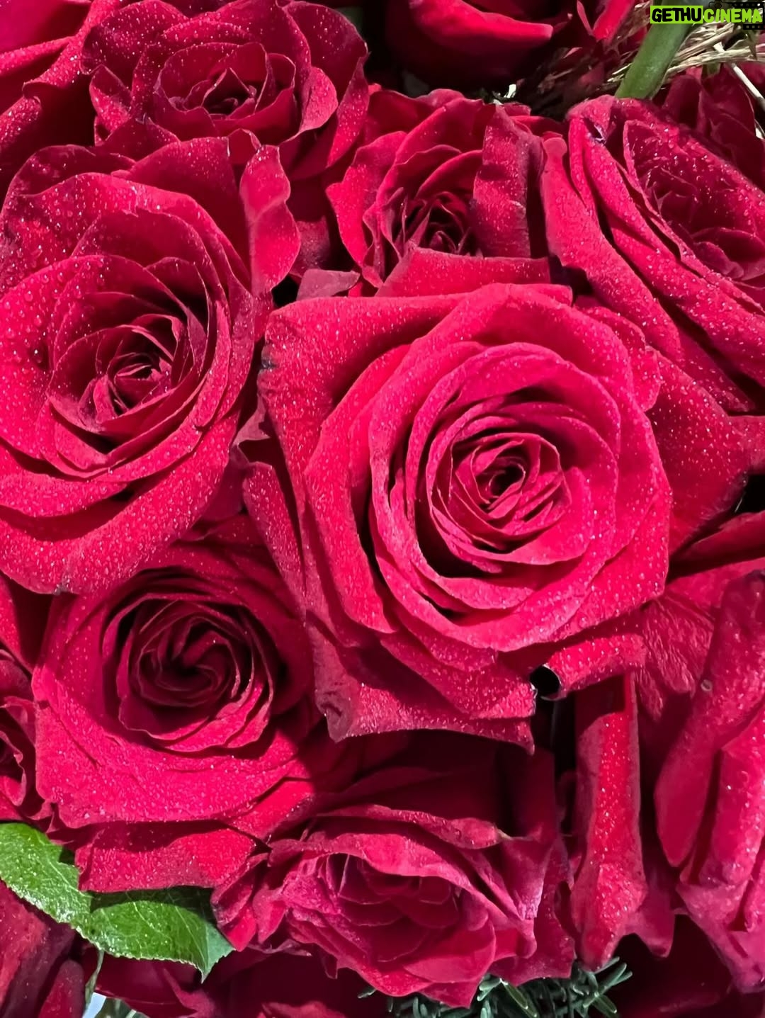 Brenda Lodigiani - 23.8K Likes - È stato un viaggio pazzesco 
Il tendone è diventato casa mia per tre mesi
E per questo devo ringraziare i giudici @ernstknam @chefdamianocarrara @tommasofoglia_pastry e @iginio.massari per il calore, la fiducia e la cura con cui mi hanno accolta. 
Ringrazio tutti i concorrenti, perché sono diventati un pezzo della mia famiglia e già mi mancano. 
La produzione e la rete per avermi permesso di esserci, assecondando quasi ogni mia follia.
Grazie anche agli autori presenti ogni giorno e tutti i montatori. 

Infine grazie alle mie ragazze 
@_saradistefano_ 
@flavialiberatori_ 
@elenabrozzistylist 
E
@f_d_x 
Vi voglio bene 

Ci vediamo il prossimo anno ♥️
#bakeoff13
