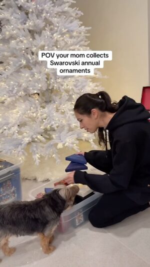 Brooke Alexx Instagram - ❄️🎄 #swarovskicrystals #swarovski #christmastree #christmasornaments