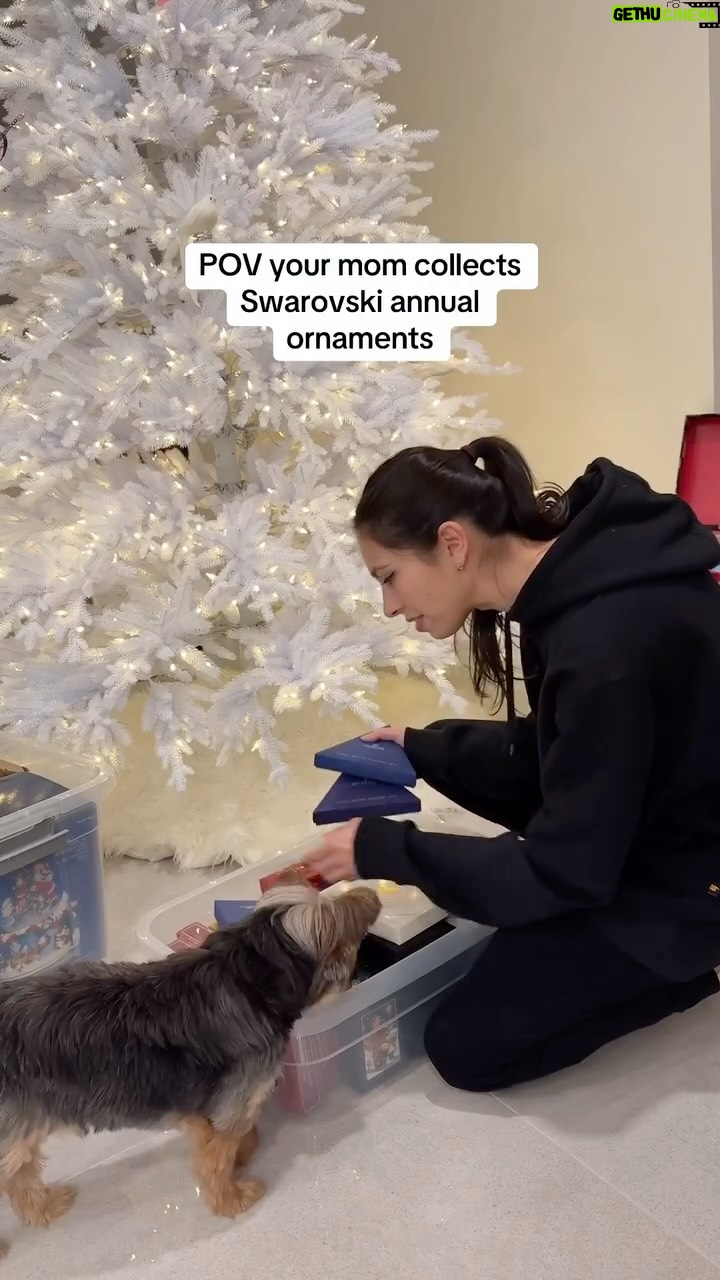 Brooke Alexx - 22.2K Likes - ❄️🎄 #swarovskicrystals #swarovski #christmastree #christmasornaments