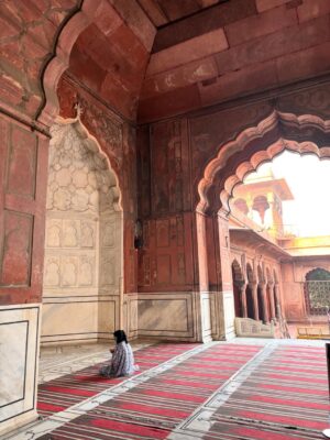 Camila Raznovich Instagram - India #india #travellingwithkids #familytime❤️ #india