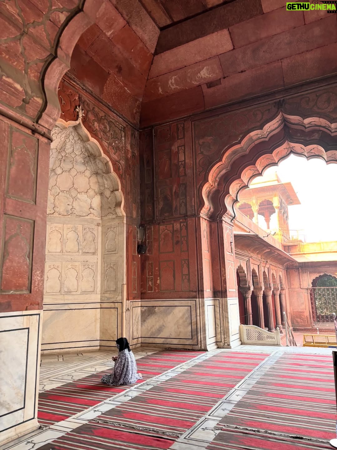Camila Raznovich - 2.5K Likes - India #india #travellingwithkids #familytime❤️ #india