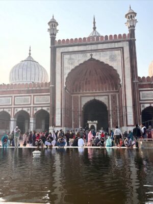 Camila Raznovich Instagram - India #india #travellingwithkids #familytime❤️ #india