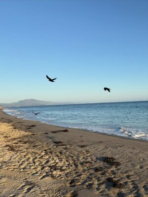 Camilla Belle Instagram - Detox 🙏🧡