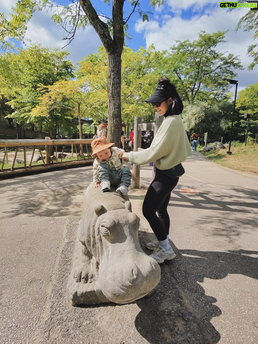 Cassie Steele - 13.3K Likes - Toronto Zoo ❤️❤️❤️ 

Fun fact!! My cousin and I are 6 months apart and so are our first borns!!! We did NOT plan it. @lisharenee 

“SAY THANK YOU!! SAY IT”!!! 😂😂😂😂 #moms #cousins #torontozoo #canada #familytime
