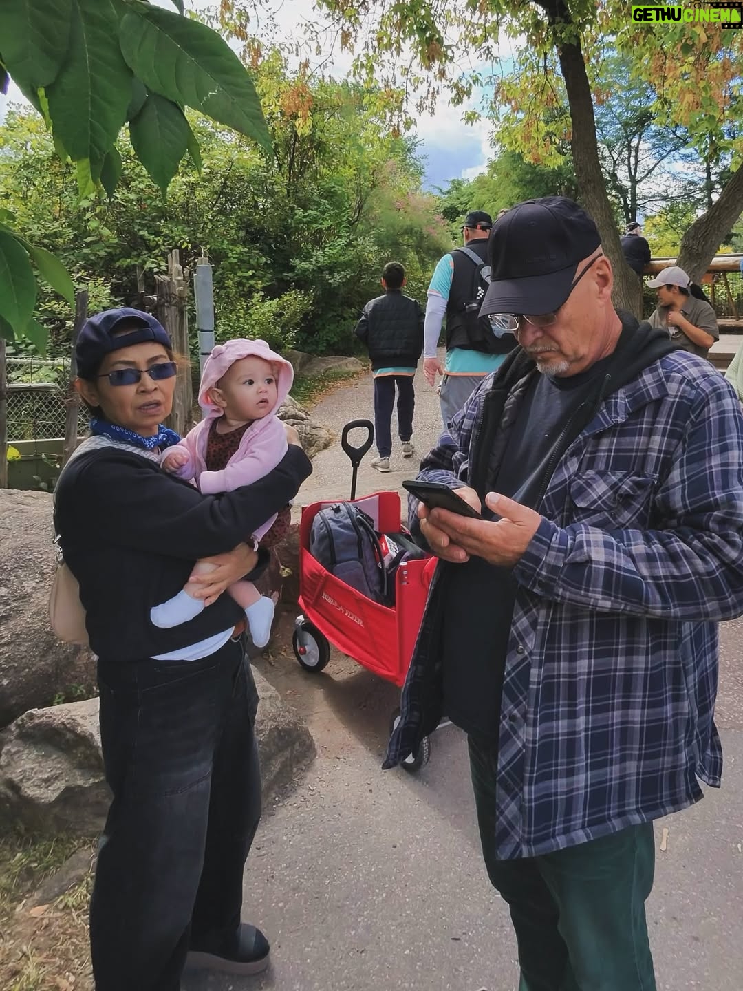 Cassie Steele - 13.3K Likes - Toronto Zoo ❤️❤️❤️ 

Fun fact!! My cousin and I are 6 months apart and so are our first borns!!! We did NOT plan it. @lisharenee 

“SAY THANK YOU!! SAY IT”!!! 😂😂😂😂 #moms #cousins #torontozoo #canada #familytime