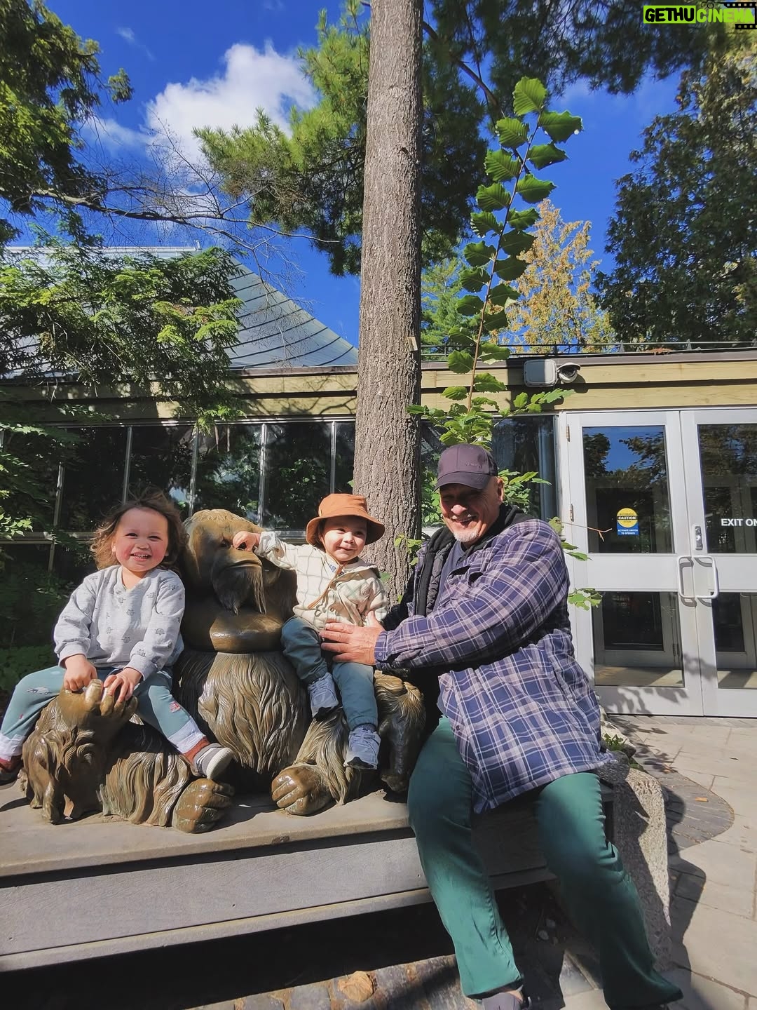 Cassie Steele - 13.3K Likes - Toronto Zoo ❤️❤️❤️ 

Fun fact!! My cousin and I are 6 months apart and so are our first borns!!! We did NOT plan it. @lisharenee 

“SAY THANK YOU!! SAY IT”!!! 😂😂😂😂 #moms #cousins #torontozoo #canada #familytime