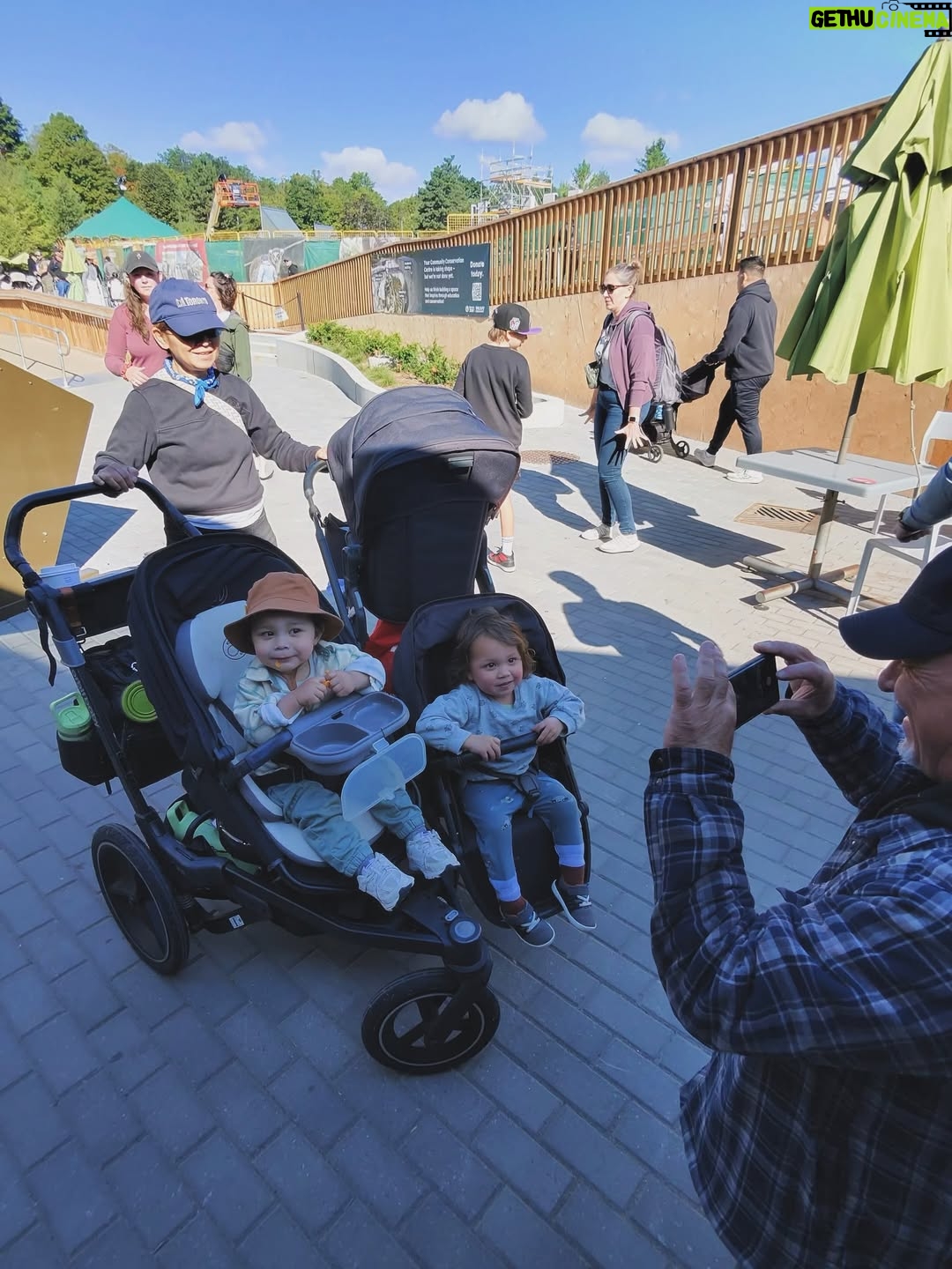 Cassie Steele - 13.3K Likes - Toronto Zoo ❤️❤️❤️ 

Fun fact!! My cousin and I are 6 months apart and so are our first borns!!! We did NOT plan it. @lisharenee 

“SAY THANK YOU!! SAY IT”!!! 😂😂😂😂 #moms #cousins #torontozoo #canada #familytime