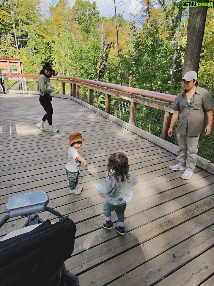 Cassie Steele - 13.3K Likes - Toronto Zoo ❤️❤️❤️ 

Fun fact!! My cousin and I are 6 months apart and so are our first borns!!! We did NOT plan it. @lisharenee 

“SAY THANK YOU!! SAY IT”!!! 😂😂😂😂 #moms #cousins #torontozoo #canada #familytime