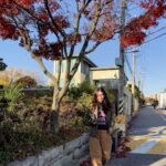 Chae Jung-an