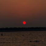Charlotte Mint