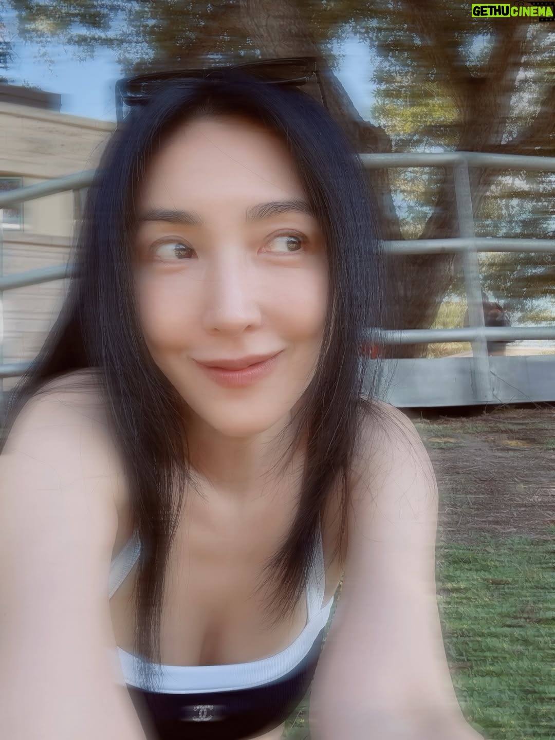 Cheryl Yang - 58.4K Likes - 😊🪻🐮