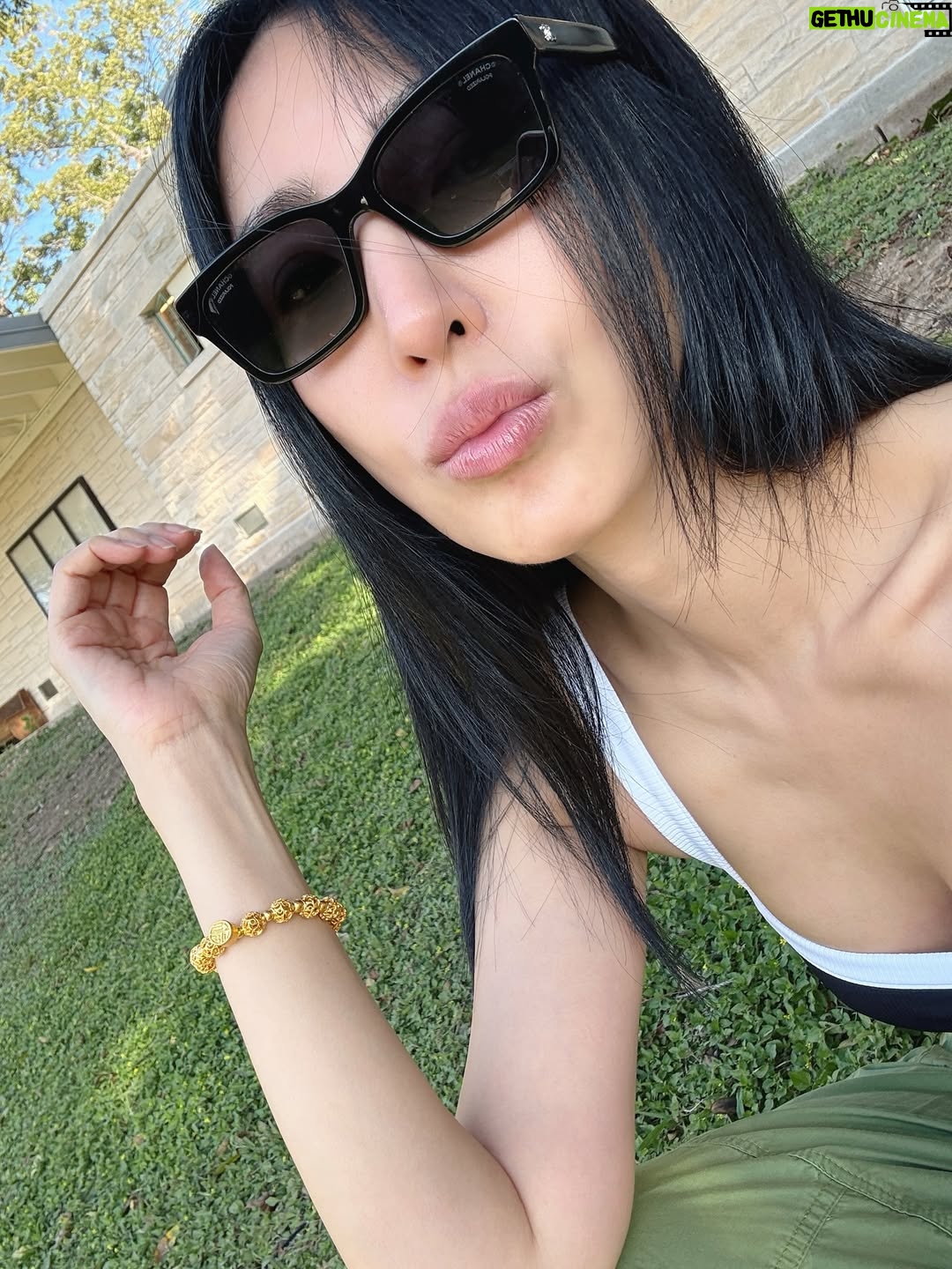 Cheryl Yang - 58.4K Likes - 😊🪻🐮