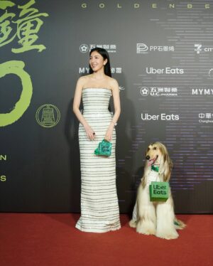 Cheryl Yang Instagram - 謝謝所有美好的祝賀與心意,還在慢慢享受,非常快樂!
但!我怎麼會在台上忘記流氓,我掌嘴🥹沒有流氓也是一樣沒有周凡,你知道的~
@zhan_1998__
#也不能沒有我真實生活中的流氓啦
#你們的限動我都有慢慢看🌹
#謝謝美好的金鐘60
#謝謝寶儀姐給予金鐘的那份真誠跟愛❤️
@bowie0221
#不可能是因為金鐘前一天看回魂計被裡頭所有的影后加持了吧🥹
美麗的超強團隊:
Makeup: @wenlee___ @kristy__wang
Hair: @isiahzin @henrytc0216 @driven.by
Stylist: @chenghan_han @arixiaona
Photo: @hellohenryboy @chi215_
Gown: @maisonmet @theclique.hk
Jewelry: @boucheron
Shoes: @christianlouboutin
